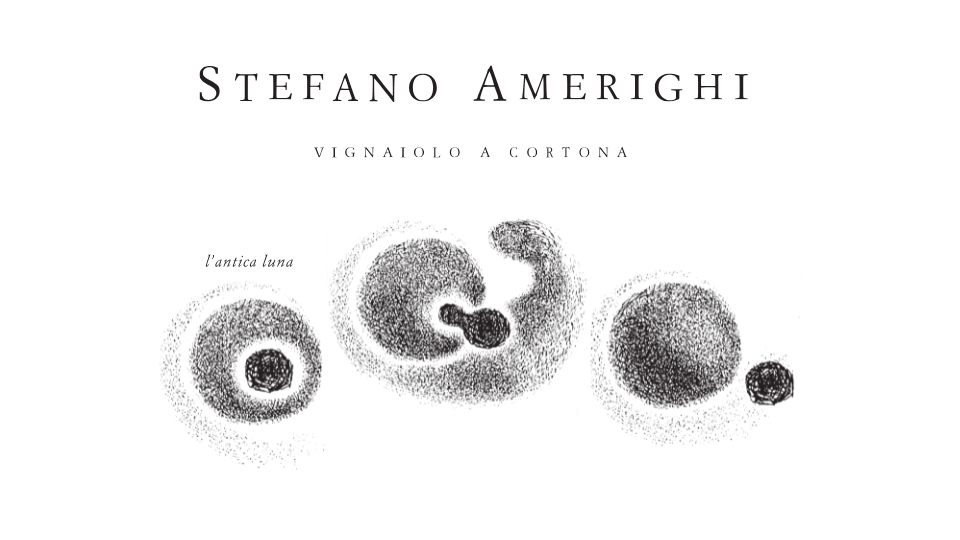 stefano-amerighi